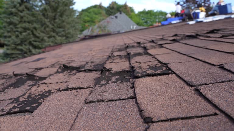 Best Roof Insulation Installation  in Leavenworth, KS